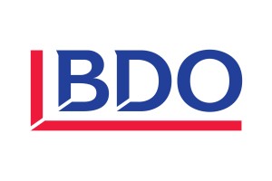BDO - audit & assurance