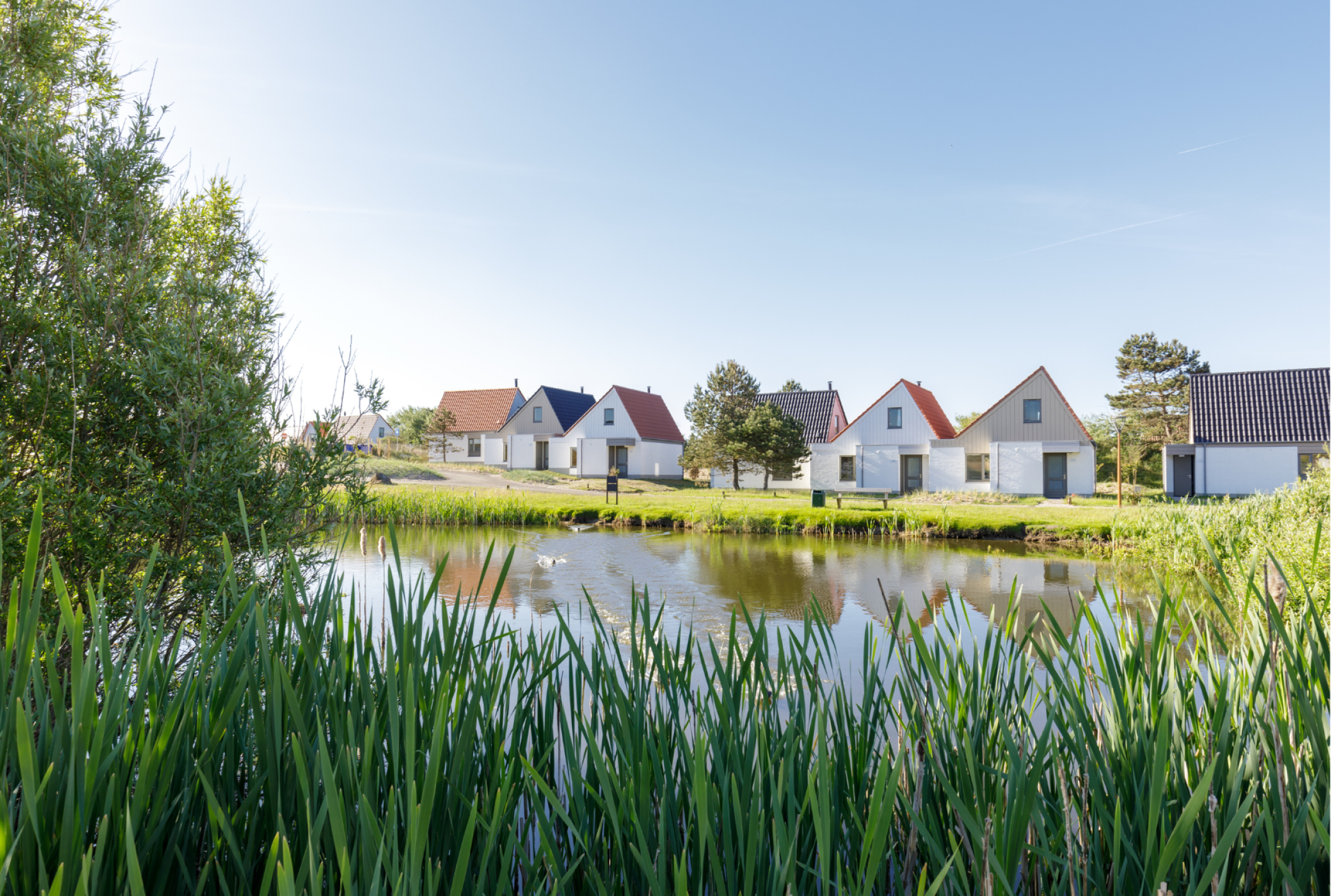 2025-Nieuwe-website-foto's-(69)