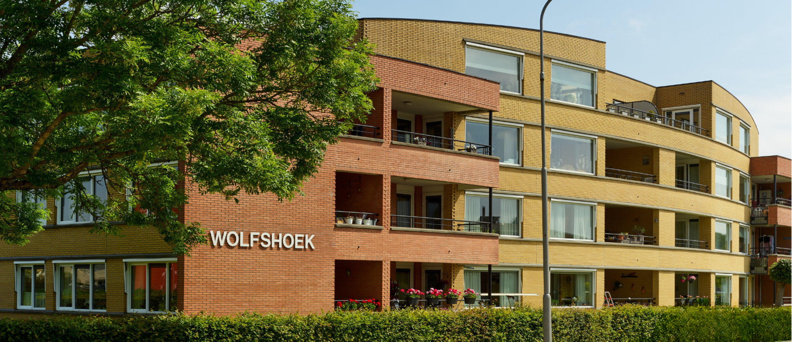 2025-Nieuwe-website-foto's-(7)