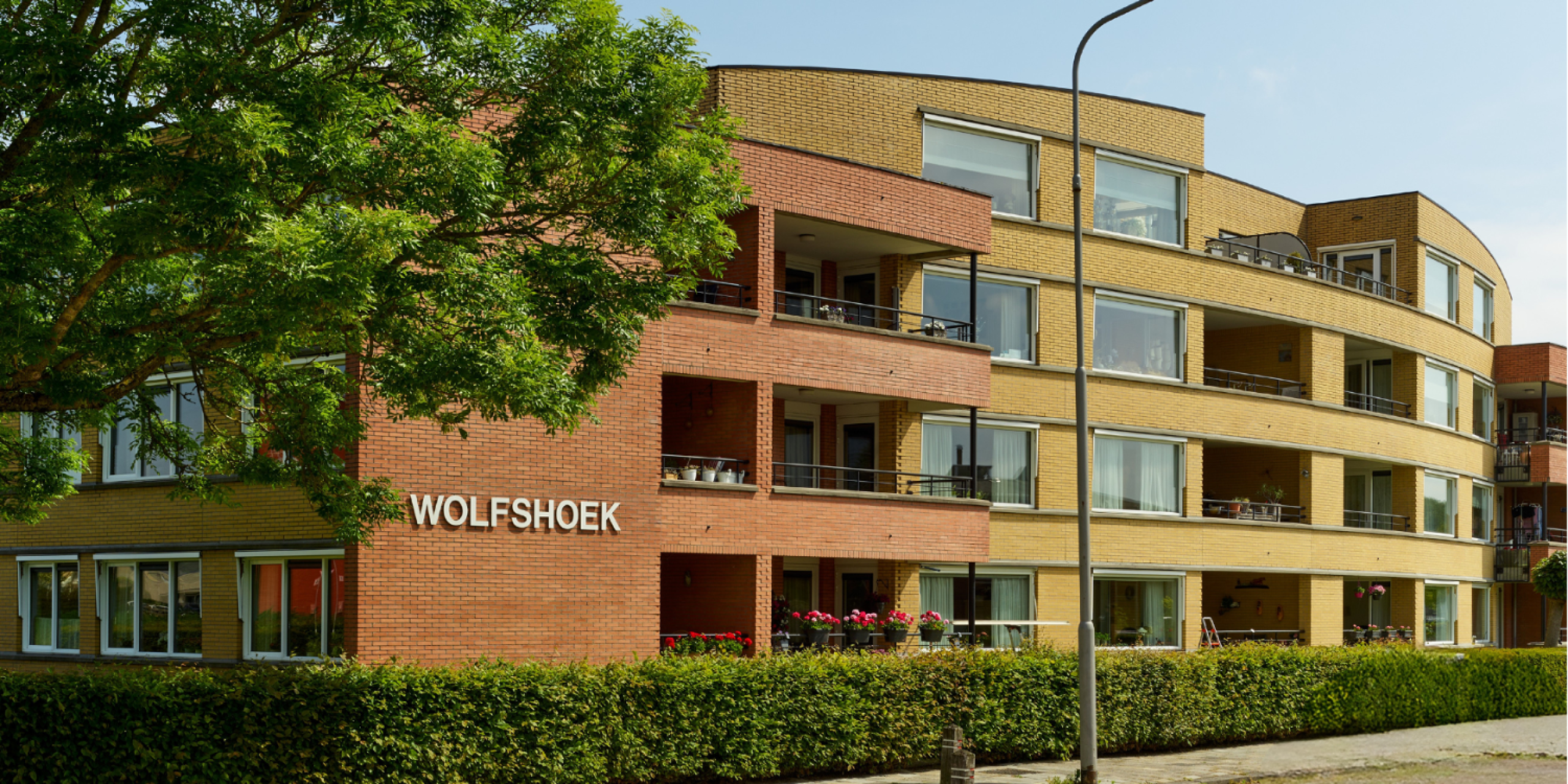 2025-Nieuwe-website-fotos